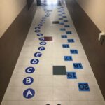 Vinyl Educational path