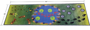Sensory Path Meadow Design