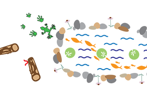 sensory path stickers in a meadow theme