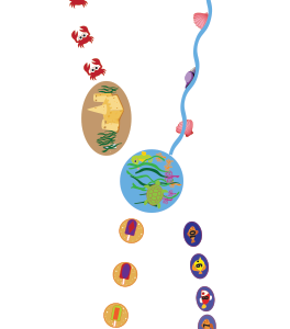sensory path beach theme