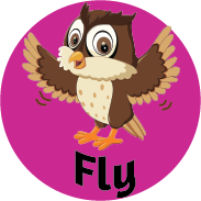 sensory activity fly like an owl