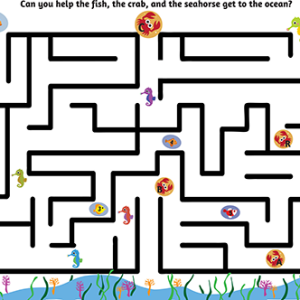 Ocean Adventure Maze- Sensory Island Path